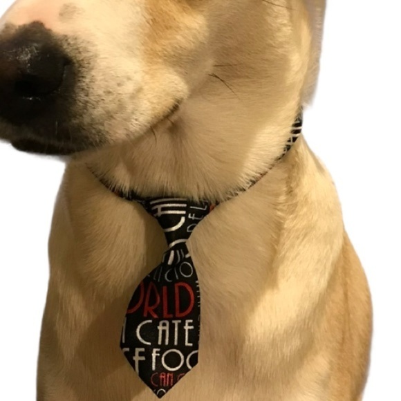 Adjusting Dog Neck Tie Collar - Picture 2 of 7